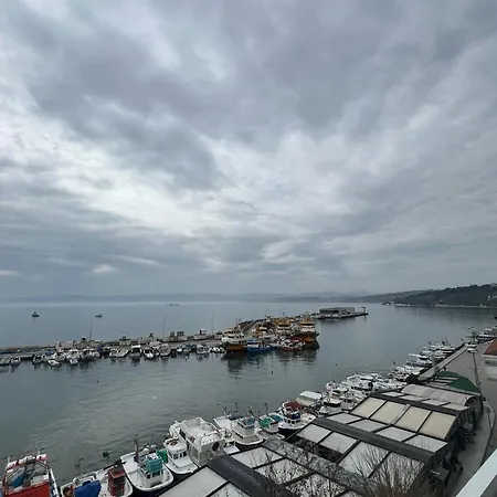 The Port فندق *